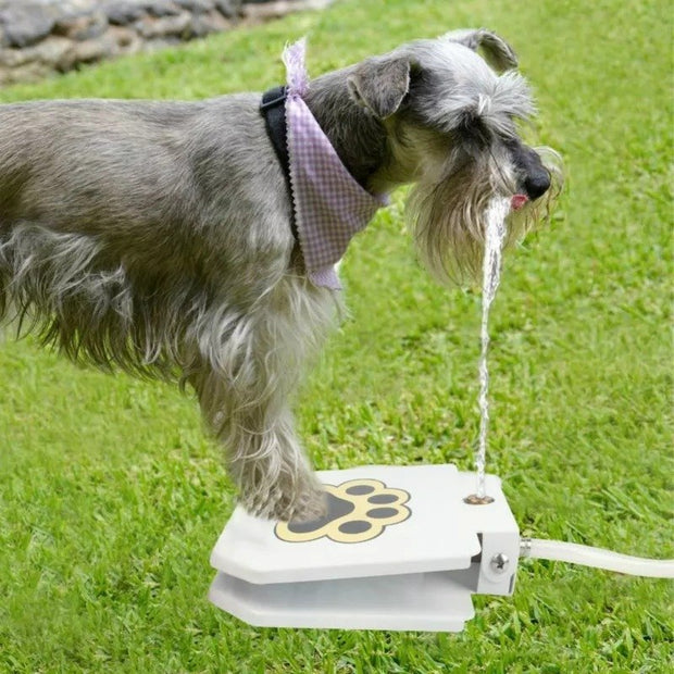 Dog Water Fountain