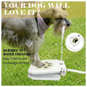 Dog Water Fountain