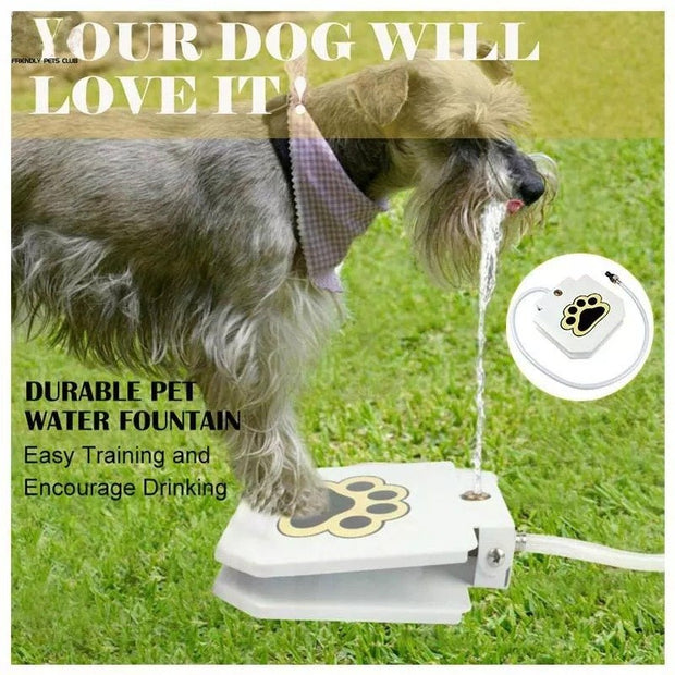 Dog Water Fountain