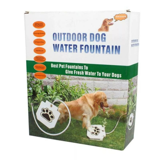 Dog Water Fountain