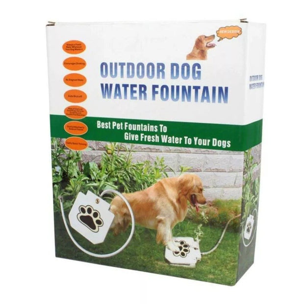 Dog Water Fountain